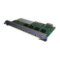 Extreme networks GM-4Ti Alpine 3800 4-port 100/1000BASE-TX Module with RJ-45 connectors (45113)